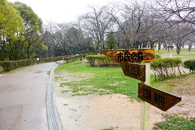 石ケ谷公園9