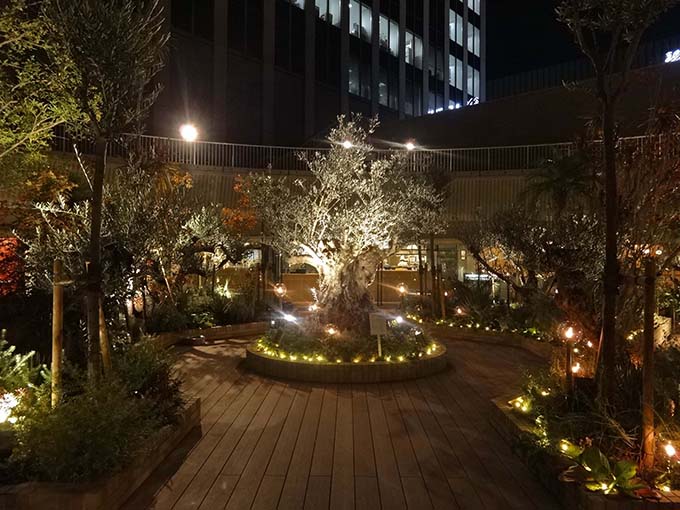 神戸国際会館の屋上庭園 そらガーデン で冬のライトアップ開催中 12月25日まで 明石じゃーなる 明石市のゆるふわ地域情報サイト