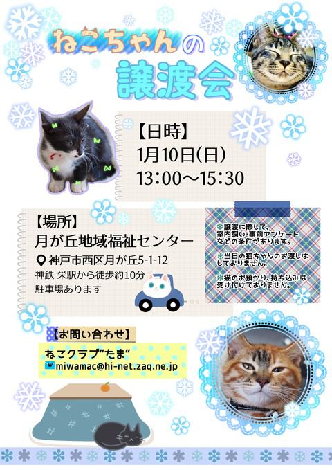 1月10日は神戸市内の3箇所で猫の譲渡会が開催 明石じゃーなる