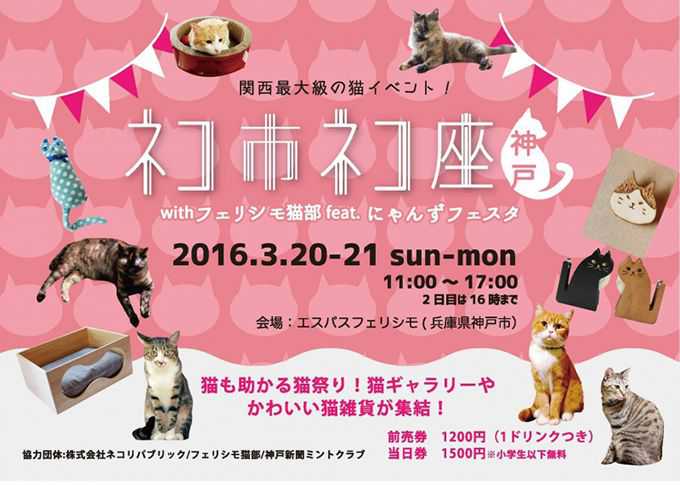 猫好きによる猫のための猫祭り ネコ市ネコ座 神戸 が開催 神戸市須磨区 明石じゃーなる 明石市のゆるふわ地域情報サイト