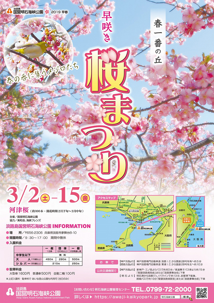 国営明石海峡公園で 早咲き桜まつり が3月2日から開催 明石じゃーなる