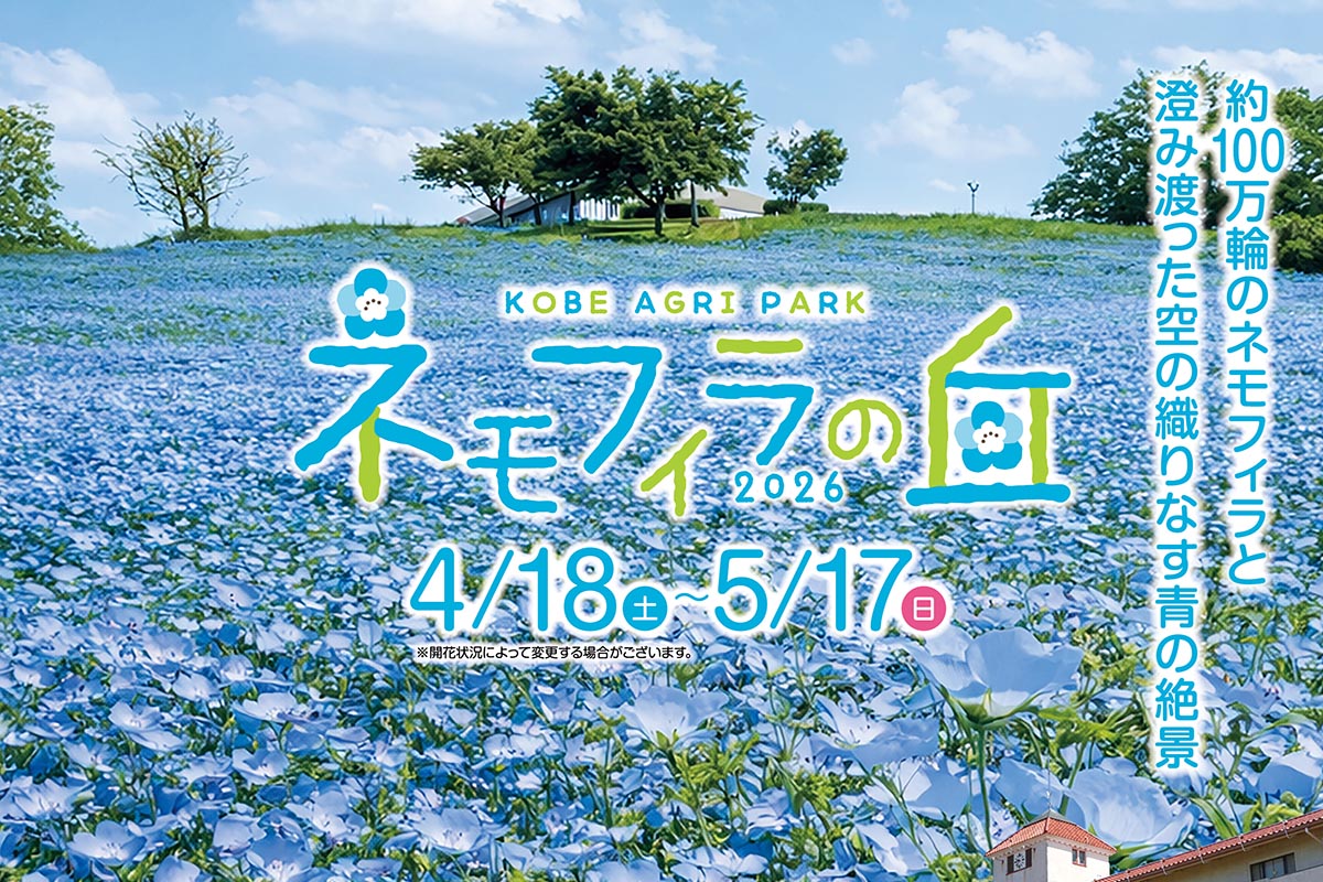 鏨廼花(たがねのはな) 明治37年発行の原本 鏨廼花(たがねのはな) 明治37年発行の原本 鏨廼花 復刻版 正編全4冊揃